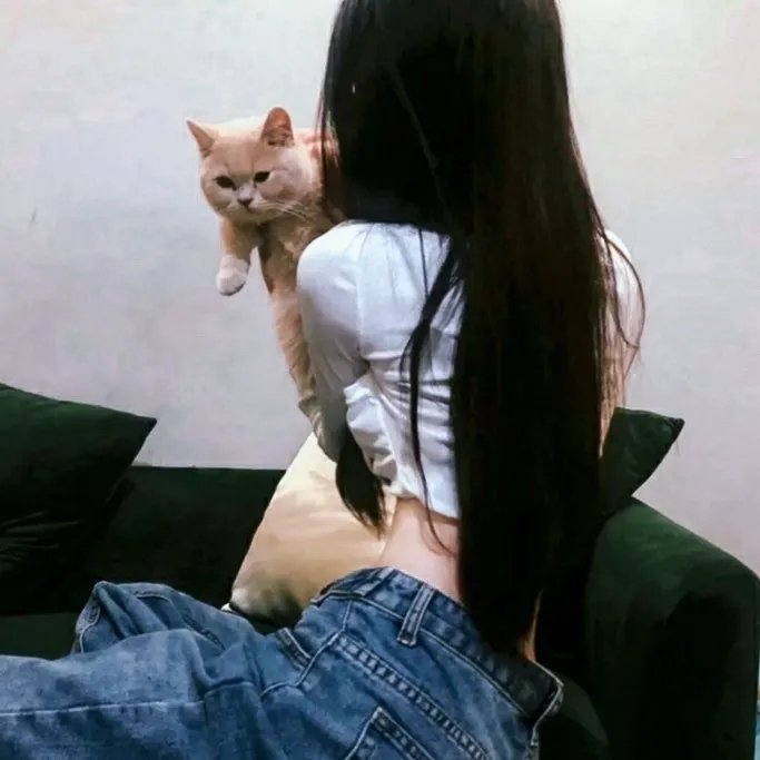 不良鲜师